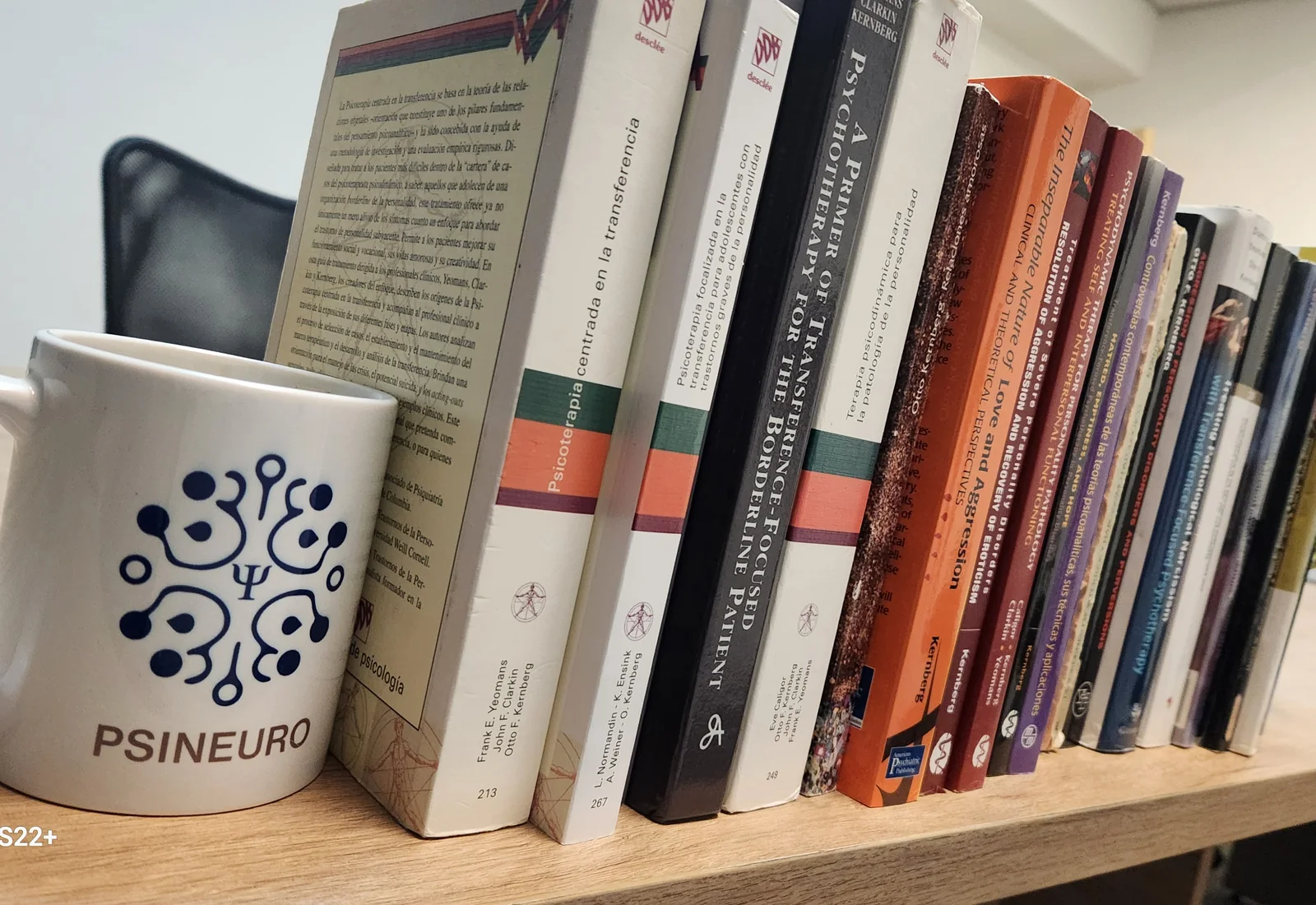 Bibliografía y recursos clínicos de PSINEURO